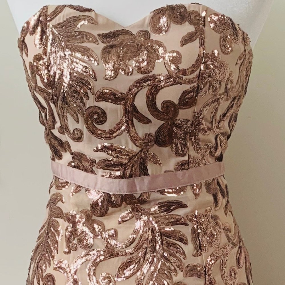 Lucy Wang Full Length Strapless Sequin Gown
